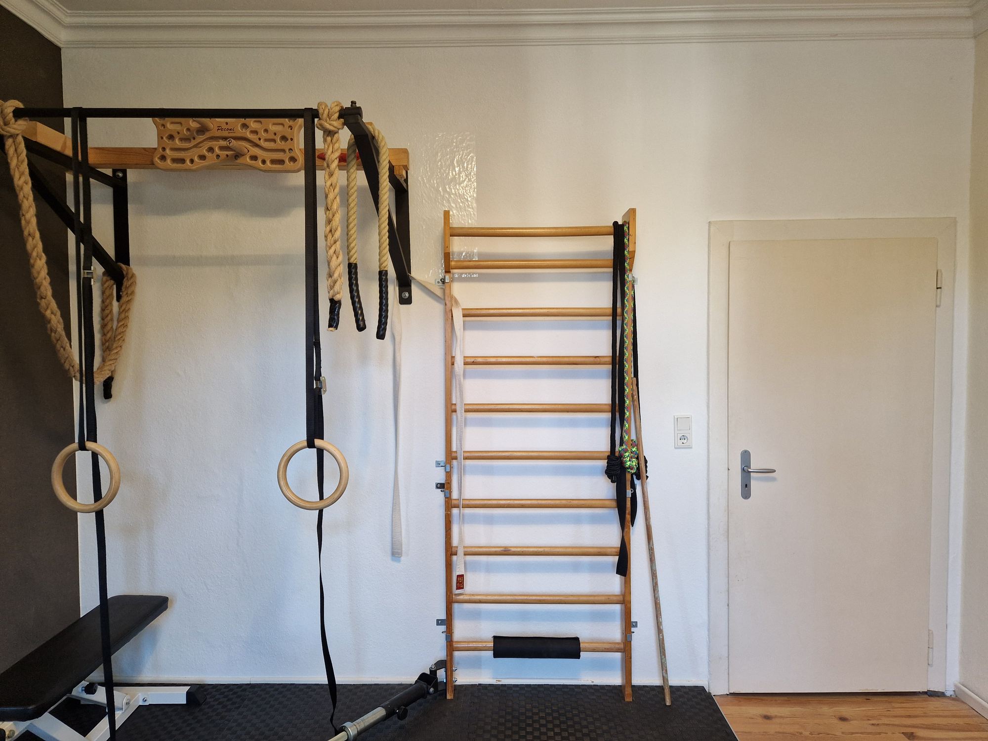 Home gym with pull-up rig, rings and wall bars